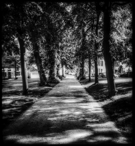 A walk in the shade. A walk in the shade.