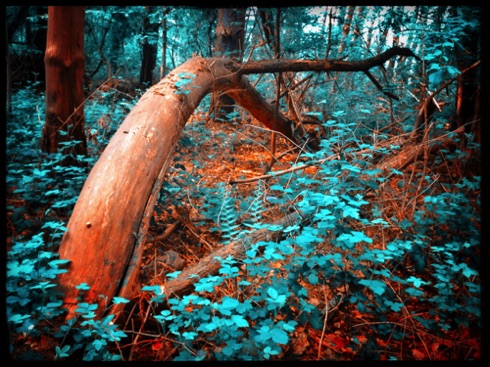 At the end of the wooden bow. At the end of the wooden bow.