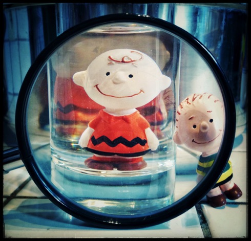 Charlie & Linus through the glass. Charlie & Linus through the glass.