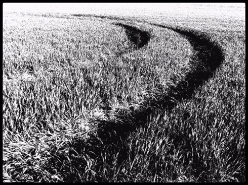 Double mowed curve. Double mowed curve.