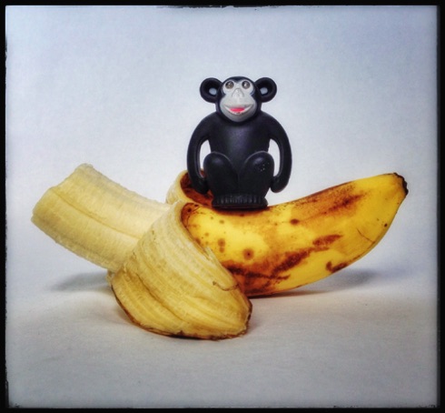 It's MY banana ! It's MY banana !