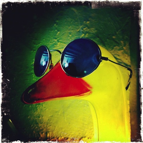 Don't mess with the funky goose. Don't mess with the funky goose.
