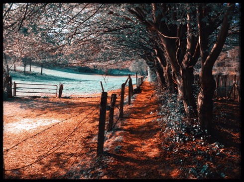 The magic trail. The magic trail.